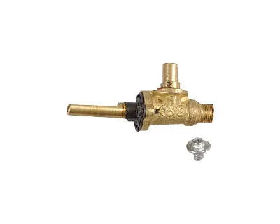 Electrolux 316020401 Valve & Screw